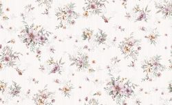 GN-FIORE-82063-2