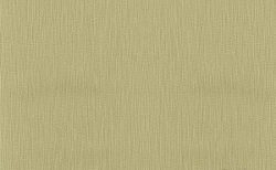 ORNA-77013